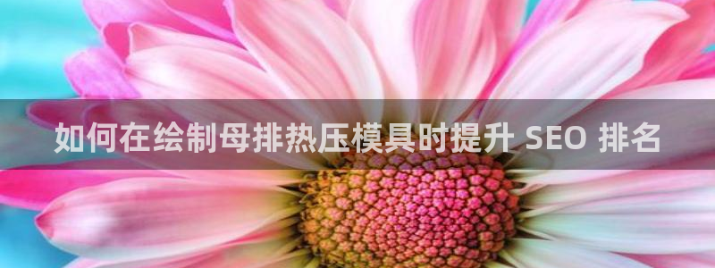 emc易倍官网登录入口：如何在绘制母排热压模具时提升 S