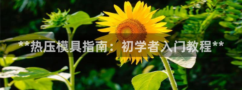 易倍app官网下载：**热压模具指南：初学者入门教程**