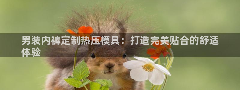 emc全站网页版：男装内裤定制热压模具：打造完美贴合的舒