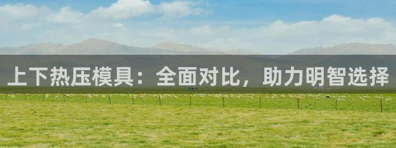 易倍达怎么样：上下热压模具：全面对比，助力明智选择