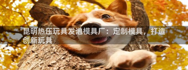易倍纤多少钱：昆明热压玩具发泡模具厂：定制模具，打造
创