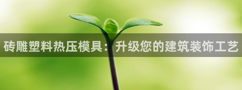 易倍单词登录网站：砖雕塑料热压模具：升级您的建筑装饰工艺