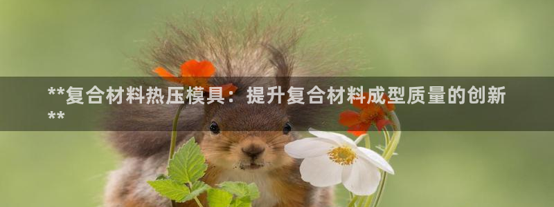 易倍单词官方网站的：**复合材料热压模具：提升复合材料成
