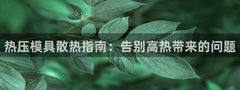 低频的emc用什么滤波：热压模具散热指南：告别高热带来的