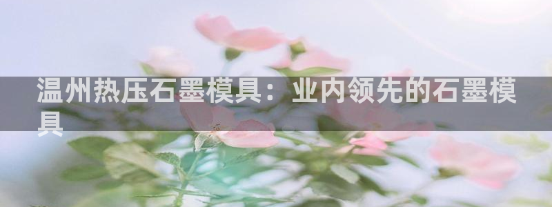 emc易倍官网登录入口：温州热压石墨模具：业内领先的石墨