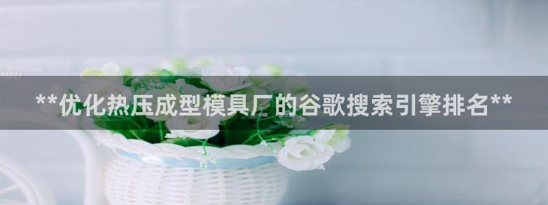 emc易倍官网：**优化热压成型模具厂的谷歌搜索引擎排名