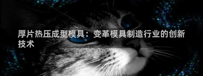 易倍达科技有限公司官网：厚片热压成型模具：变革模具制造行