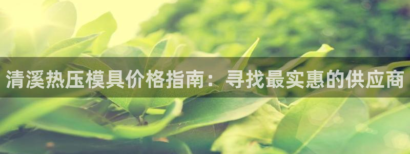 emc易倍官网登录首页：清溪热压模具价格指南：寻找最实惠