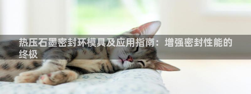 emcapp下载普通下载：热压石墨密封环模具及应用指南：