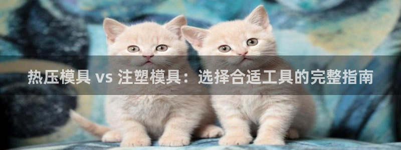 emc易倍官网登录首页：热压模具 vs 注塑模具：选择合