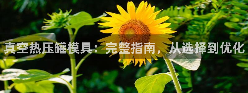 易倍全站下载：真空热压罐模具：完整指南，从选择到优化