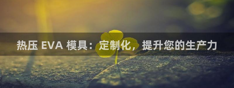 emc登录网站：热压 EVA 模具：定制化，提升您的生产