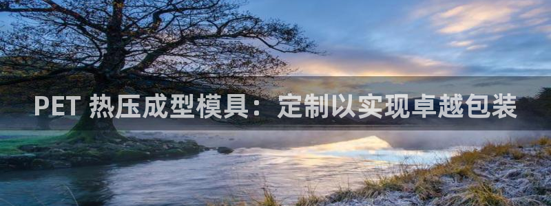 EMC易倍让身份验证：PET 热压成型模具：定制以实现卓