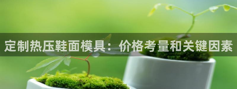 emc易倍平台：定制热压鞋面模具：价格考量和关键因素