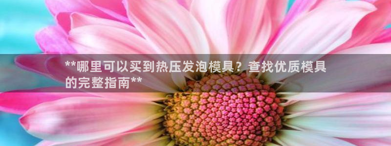 emc服务器是干啥的：**哪里可以买到热压发泡模具？查找