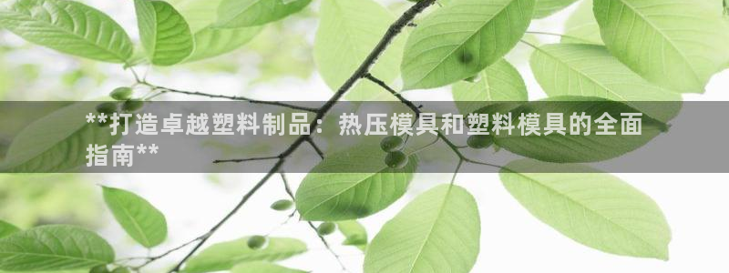 易倍申多少钱：**打造卓越塑料制品：热压模具和塑料模具的