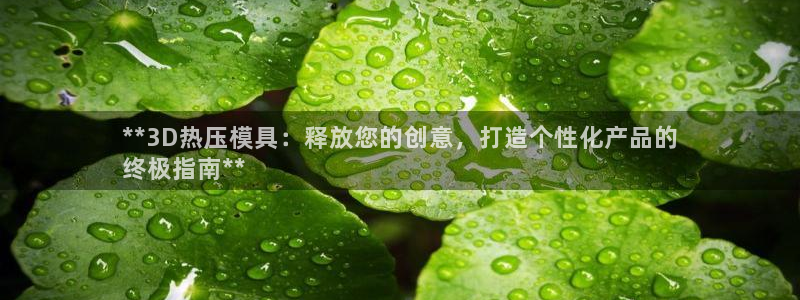 易倍emc安全吗：**3D热压模具：释放您的创意，打造个