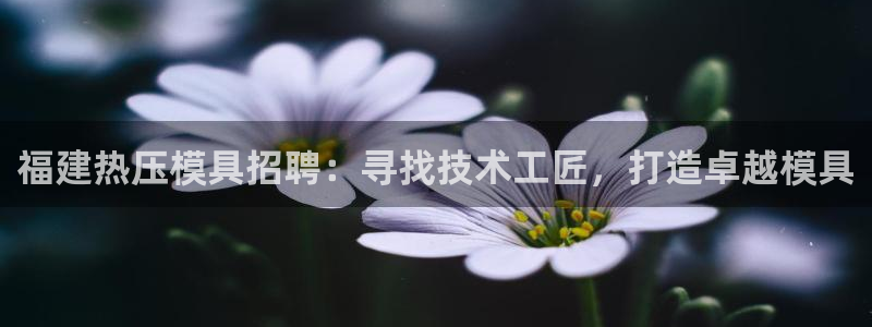 emc倍频：福建热压模具招聘：寻找技术工匠，打造卓越模具