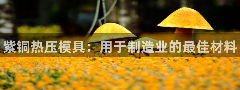 易倍科华生物科技有限公司：紫铜热压模具：用于制造业的最佳