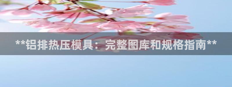 杭州易倍达：**铝排热压模具：完整图库和规格指南**