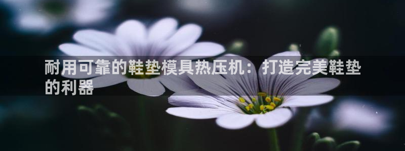 易倍申厂家：耐用可靠的鞋垫模具热压机：打造完美鞋垫
的利