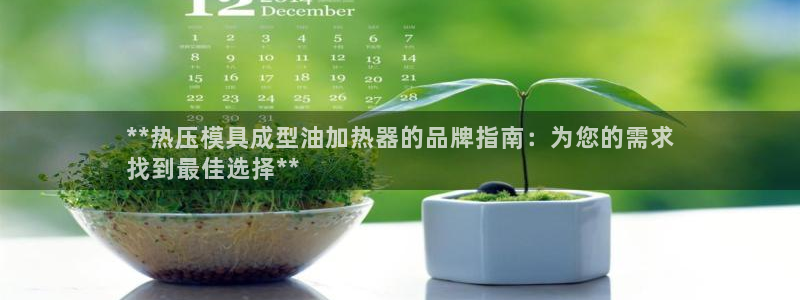 emc易倍首存500送球衣：**热压模具成型油加热器的品