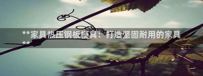 emc软件下载：**家具热压钢板模具：打造坚固耐用的家具