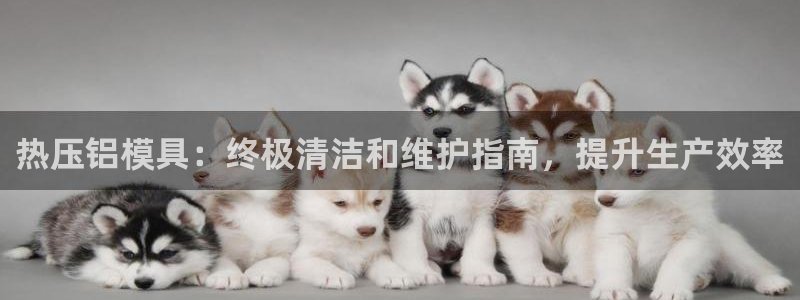 易倍申效果怎么样：热压铝模具：终极清洁和维护指南，提升生