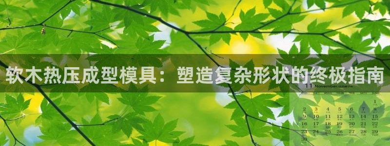 EMC易倍官方网址：软木热压成型模具：塑造复杂形状的终极