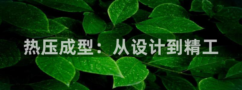 四川易倍易企业管理有限公司：热压成型：从设计到精工