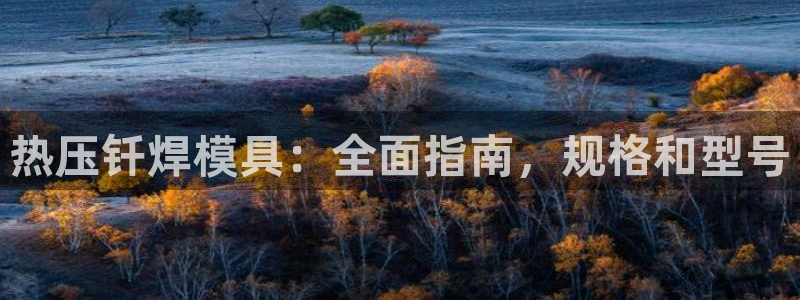 emc易倍官网首页进入：热压钎焊模具：全面指南，规格和型