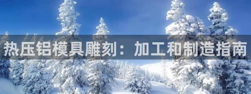 易倍申生产厂家：热压铝模具雕刻：加工和制造指南