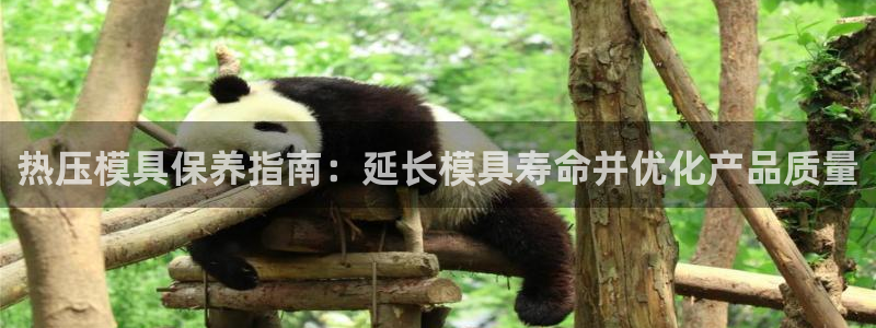 易倍企业管理软件：热压模具保养指南：延长模具寿命并优化产