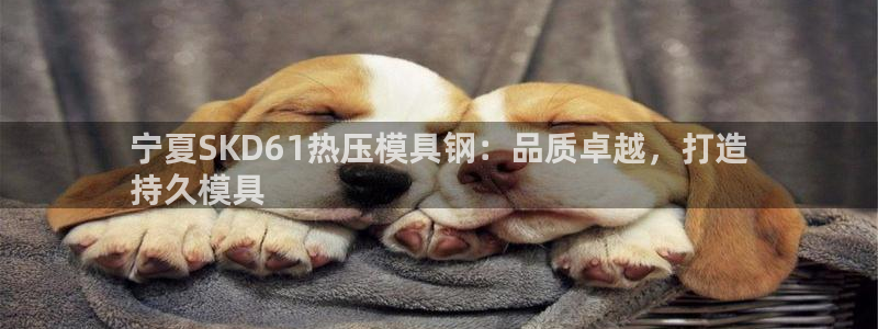 emc易倍出空款：宁夏SKD61热压模具钢：品质卓越，打