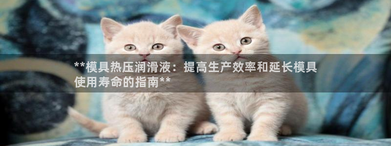 易倍申的副作用：**模具热压润滑液：提高生产效率和延长模