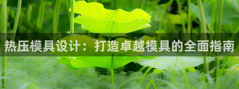 emc易倍ios官网：热压模具设计：打造卓越模具的全面指
