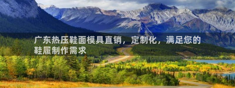 易倍申能长期吃吗：广东热压鞋面模具直销，定制化，满足您的