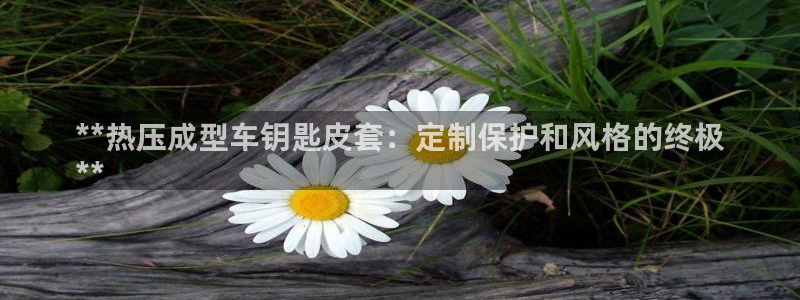 emc全站ag：**热压成型车钥匙皮套：定制保护和风格的