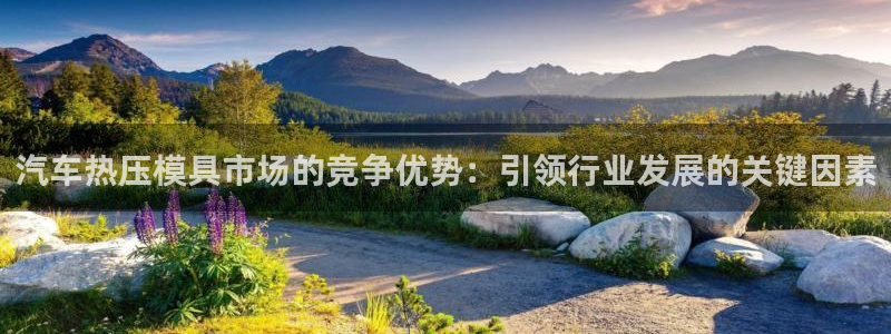 emcapp下载普通下载：汽车热压模具市场的竞争优势：引