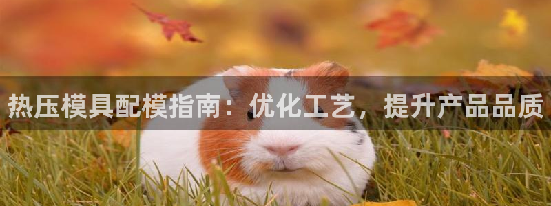 emc易倍网站是多少：热压模具配模指南：优化工艺，提升产