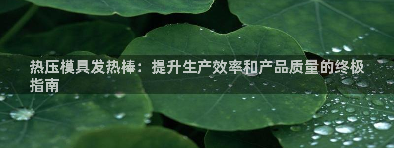 emc32软件使用说明：热压模具发热棒：提升生产效率和产