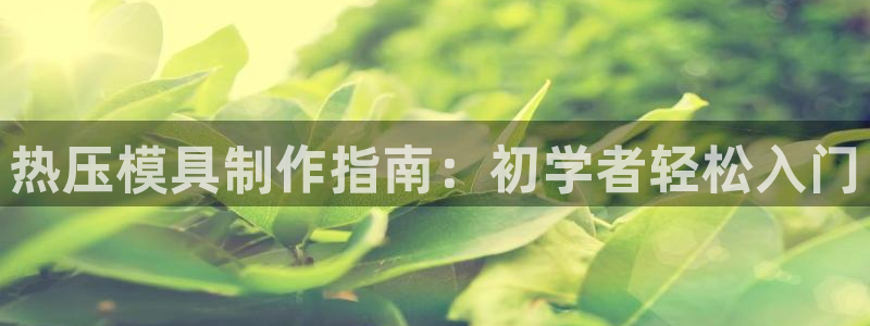 emc易倍下载：热压模具制作指南：初学者轻松入门