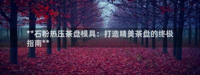 emc服务器是什么：**石粉热压茶盘模具：打造精美茶盘的