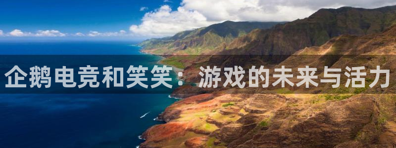 米兰电竞网站入口