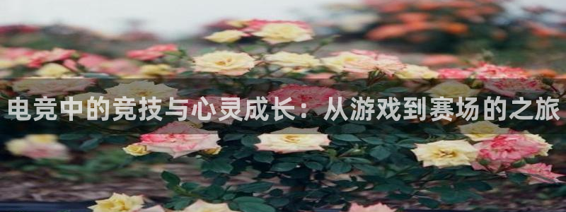 米兰电竞体育