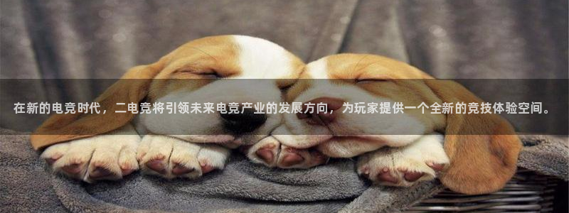 米兰电竞网站：在新的电竞时代，二电竞将引领未来电竞产业的发展方向，为玩家提供一个全新的竞技体验空间。