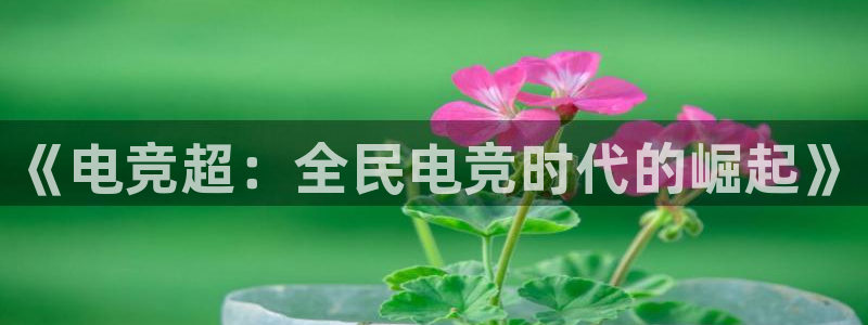 米兰电竞网站