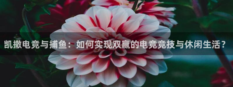 米兰电竞网站入口