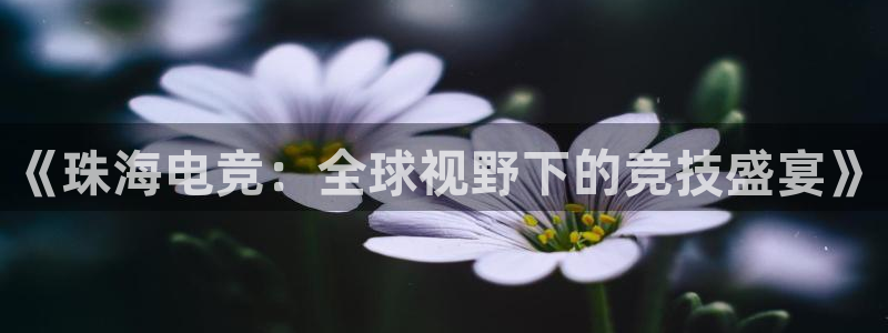 米兰电竞官方网站