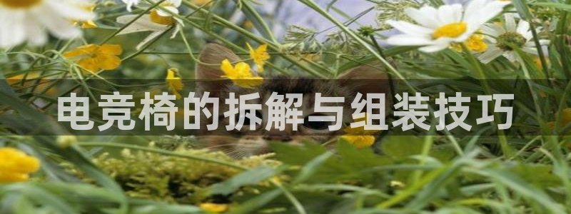 米兰电竞